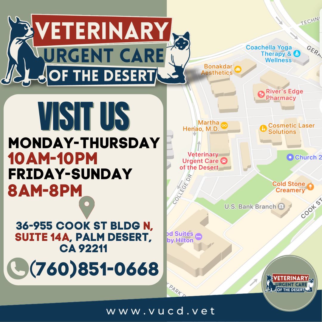 Veterinary Urgent Care of the Desert Facebook ad