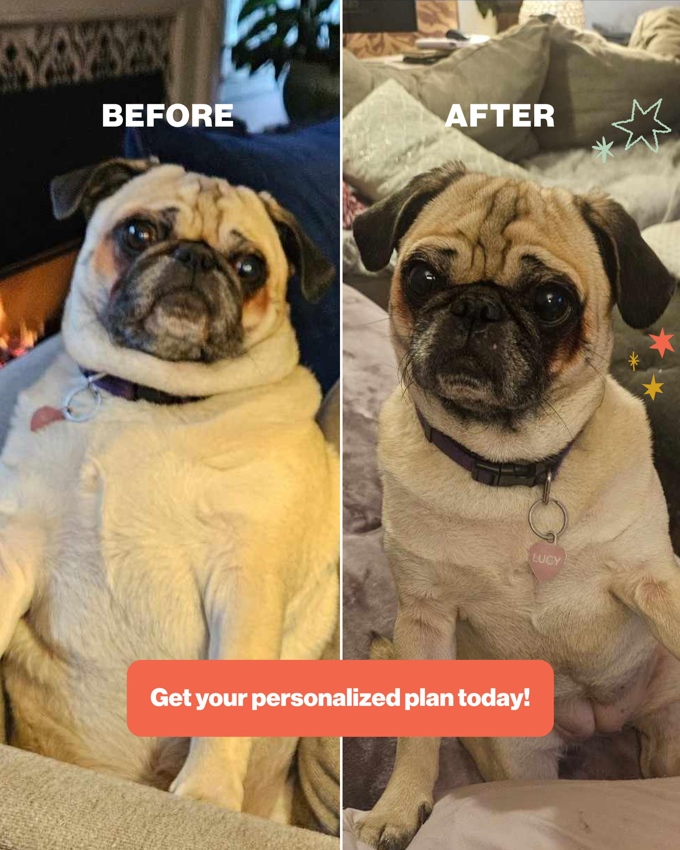 The Farmer's Dog Facebook ad