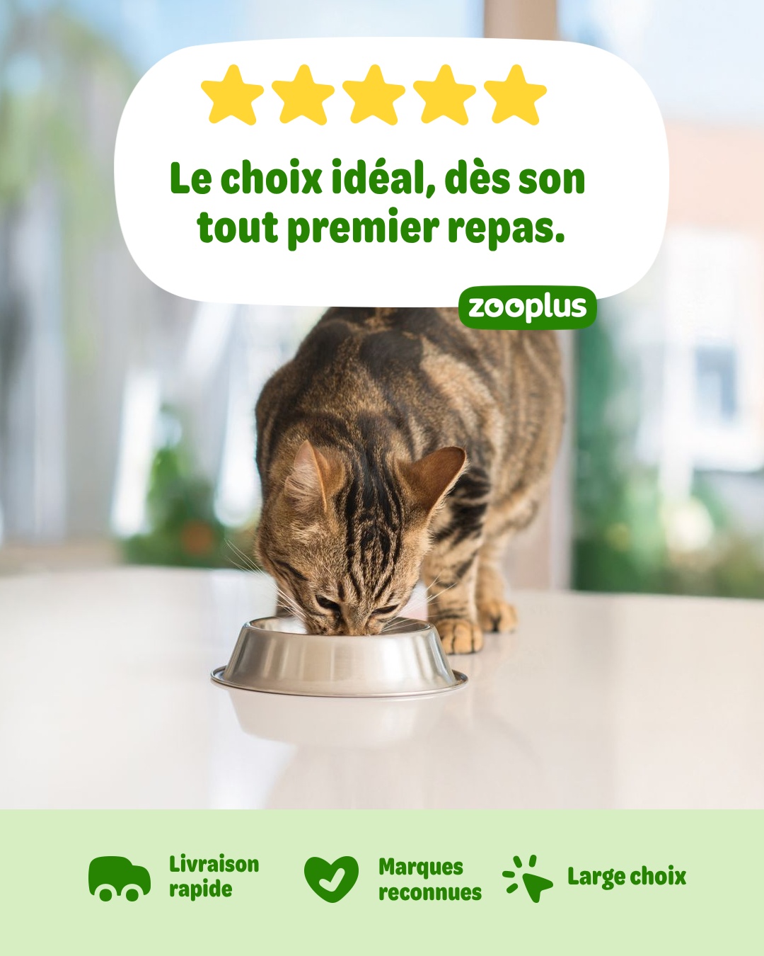 zooplus Facebook ad