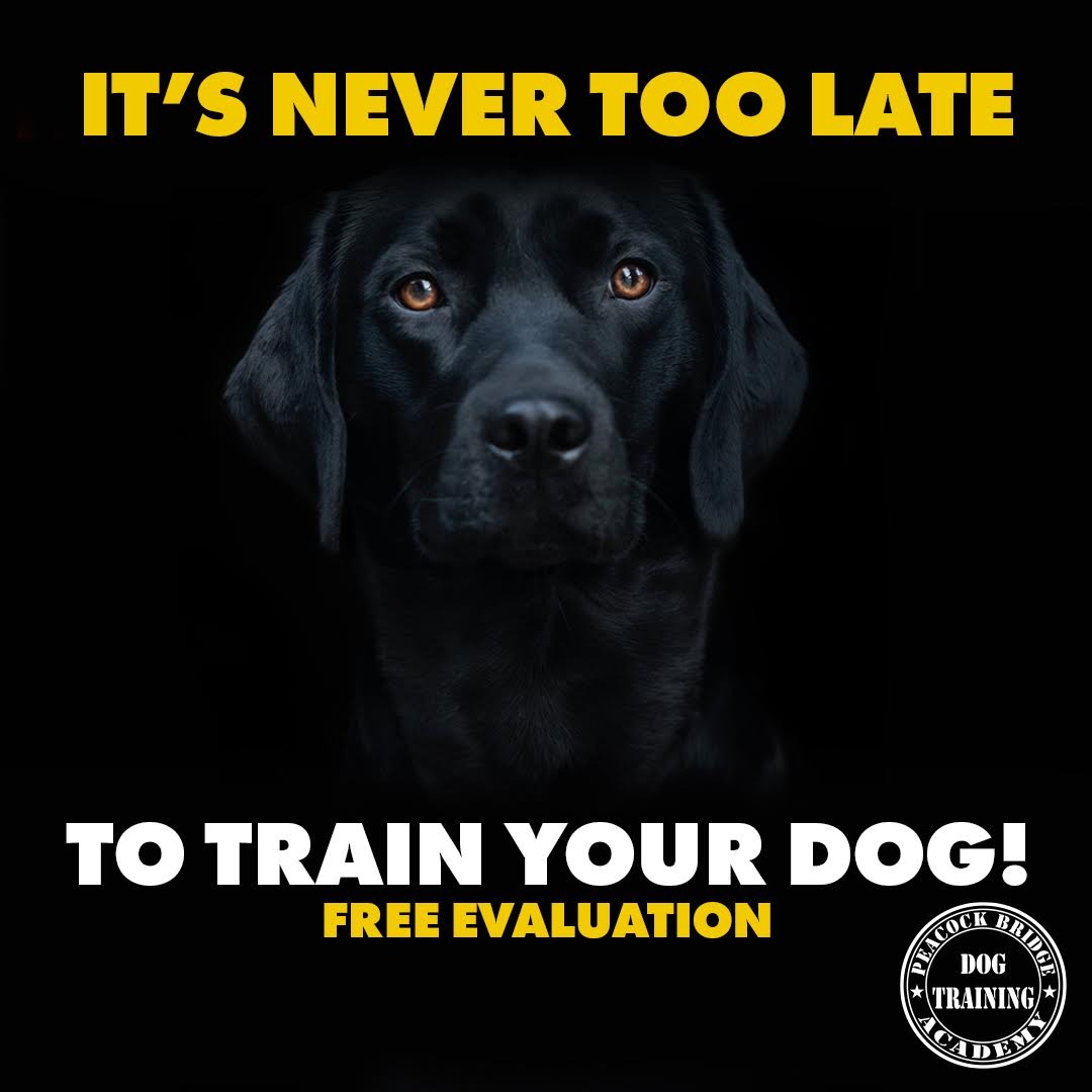 Peacock Bridge Kennels Facebook ad