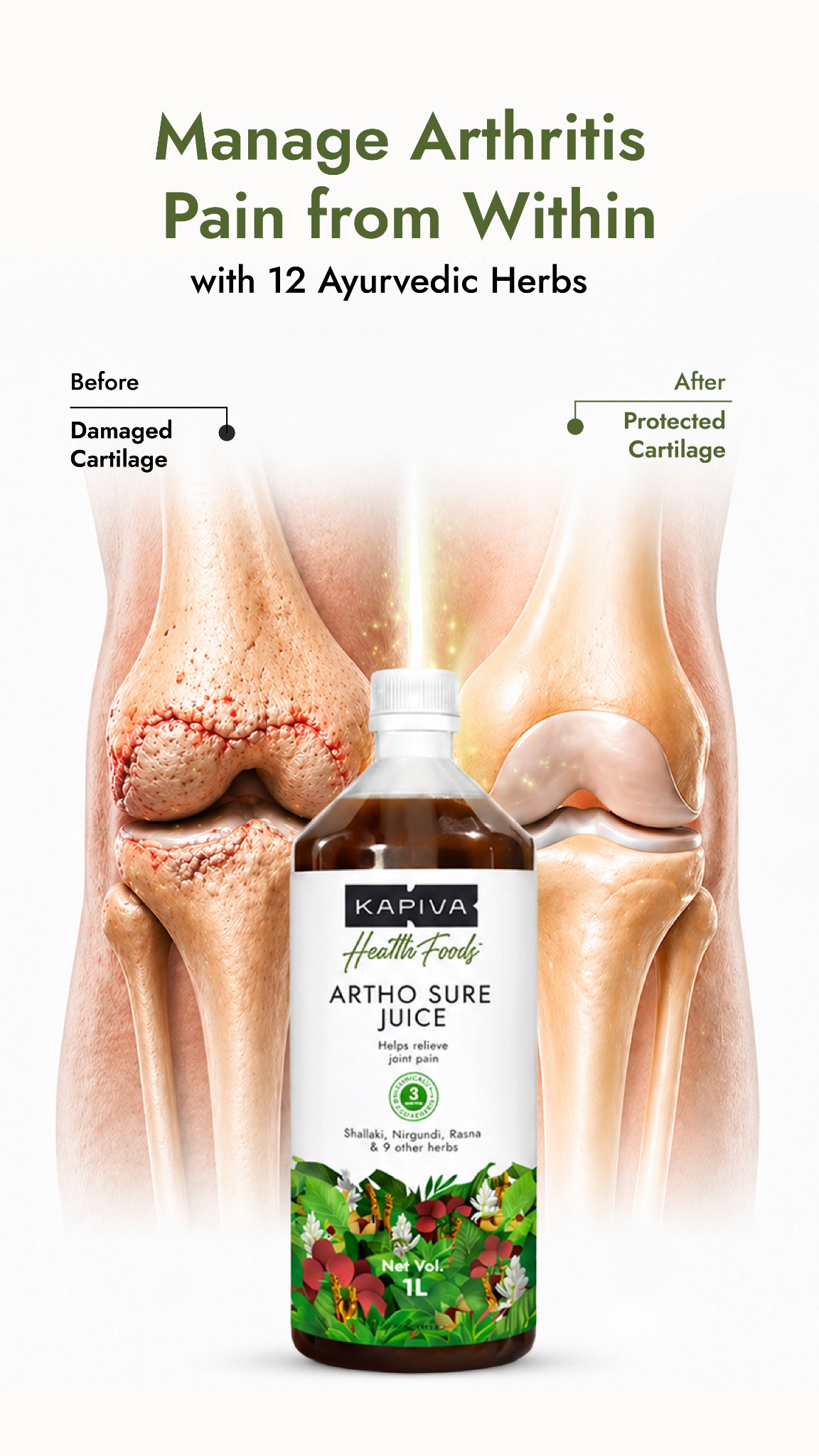 Chronic Health Solutions by Kapiva Facebook ad