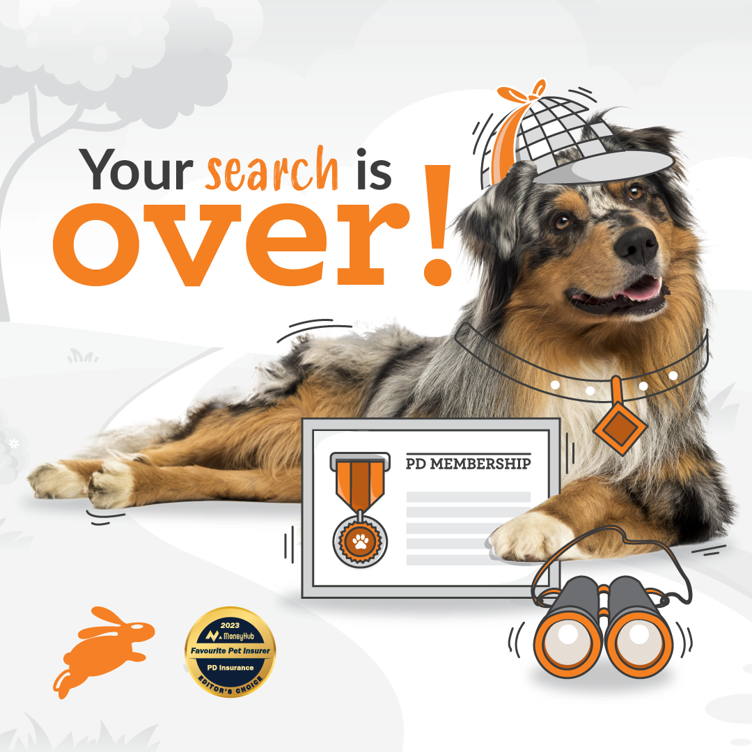 PD Insurance NZ Facebook ad