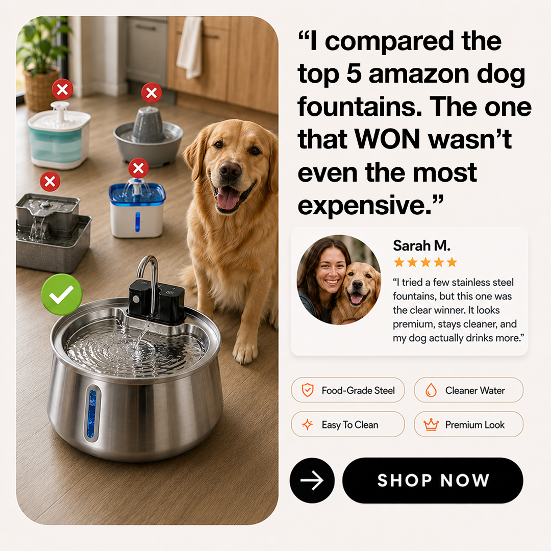 Best Dog Products 2026 Facebook ad