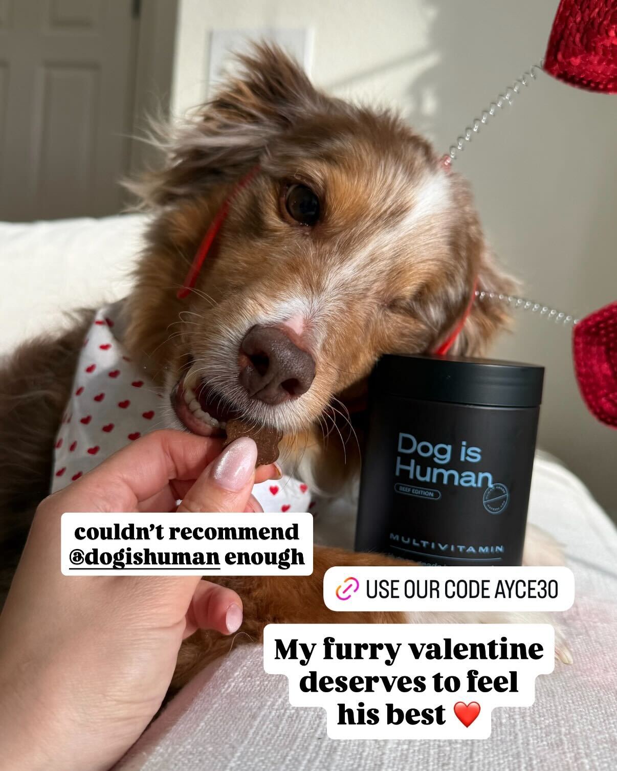 Dog is Human Facebook ad