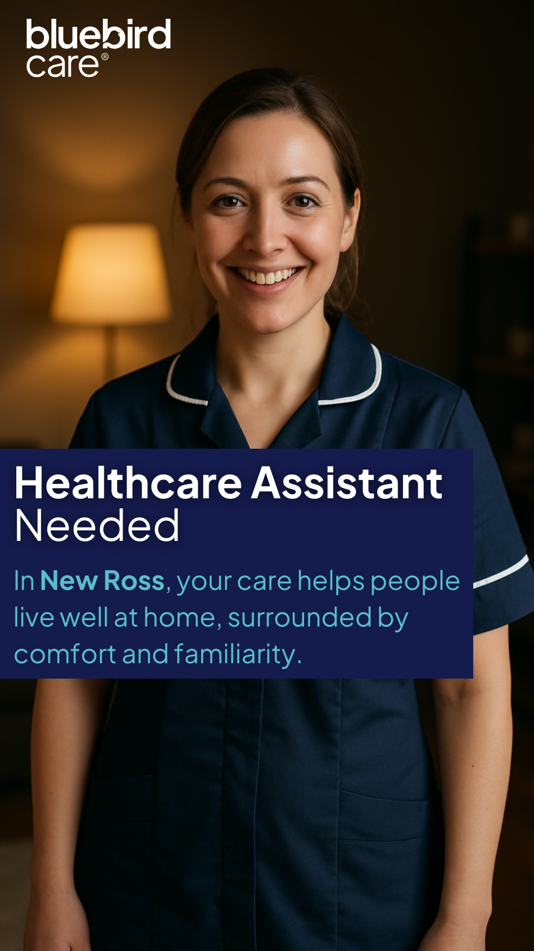 Bluebird Care Wexford Careers Facebook ad from Feb 18, 2026