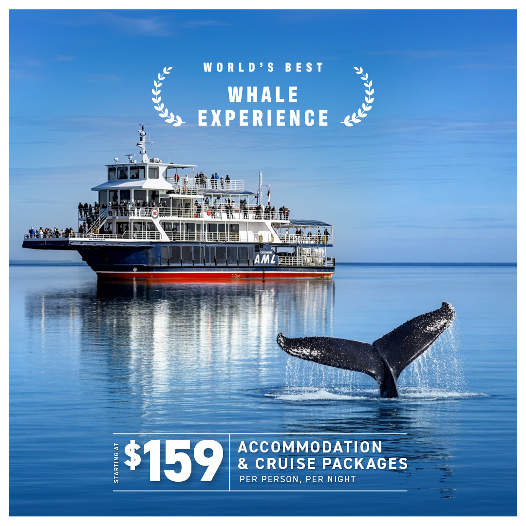 Viens voir les baleines Facebook ad