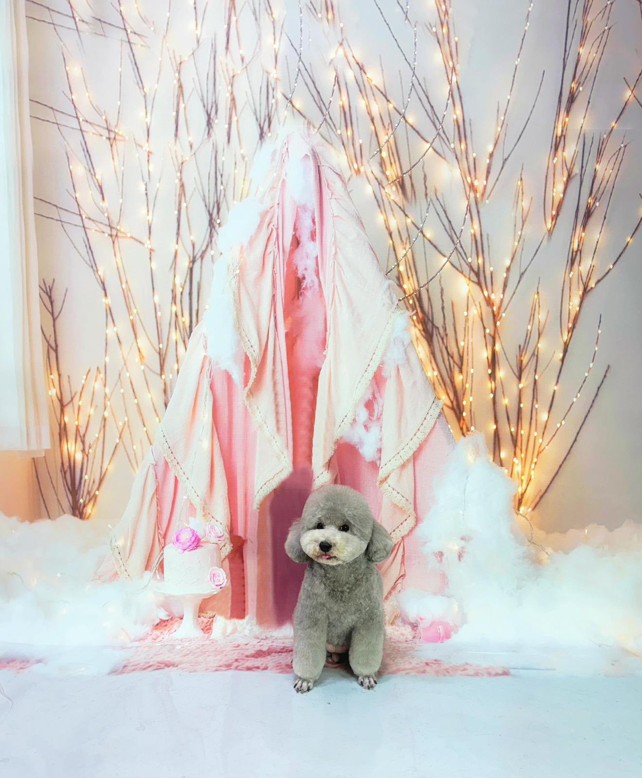 Bukit Barkdog Grooming - Bukit Batok Facebook ad: Dog Grooming Services to cater to your needs.