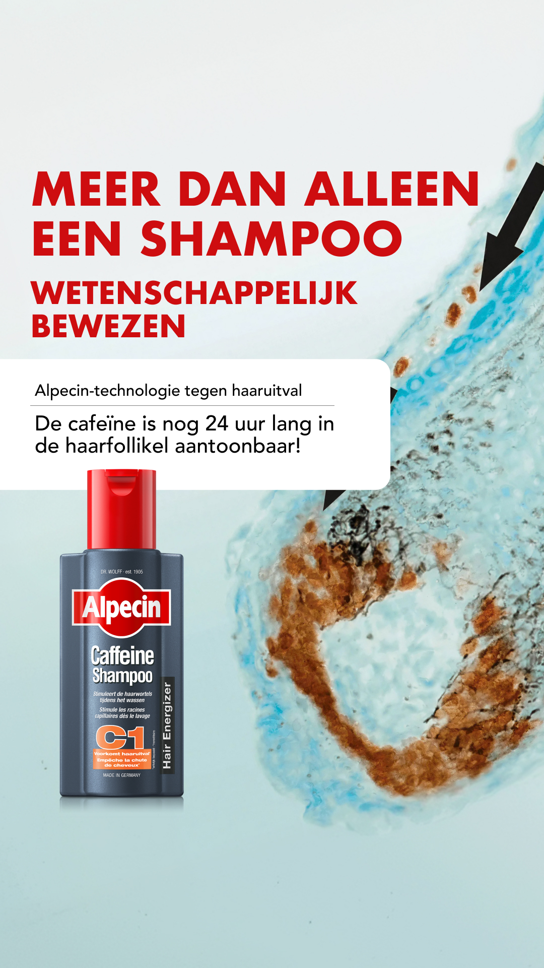 Alpecin Facebook ad
