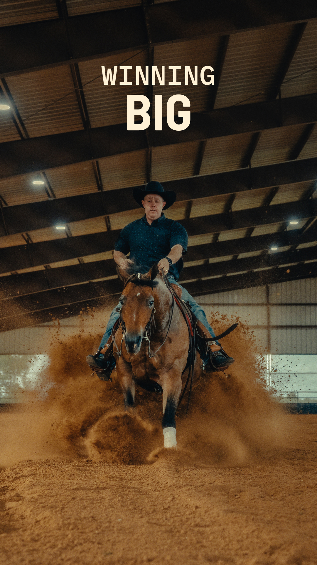 Purina Horse Facebook ad: Purina Ultium Horse Feed.