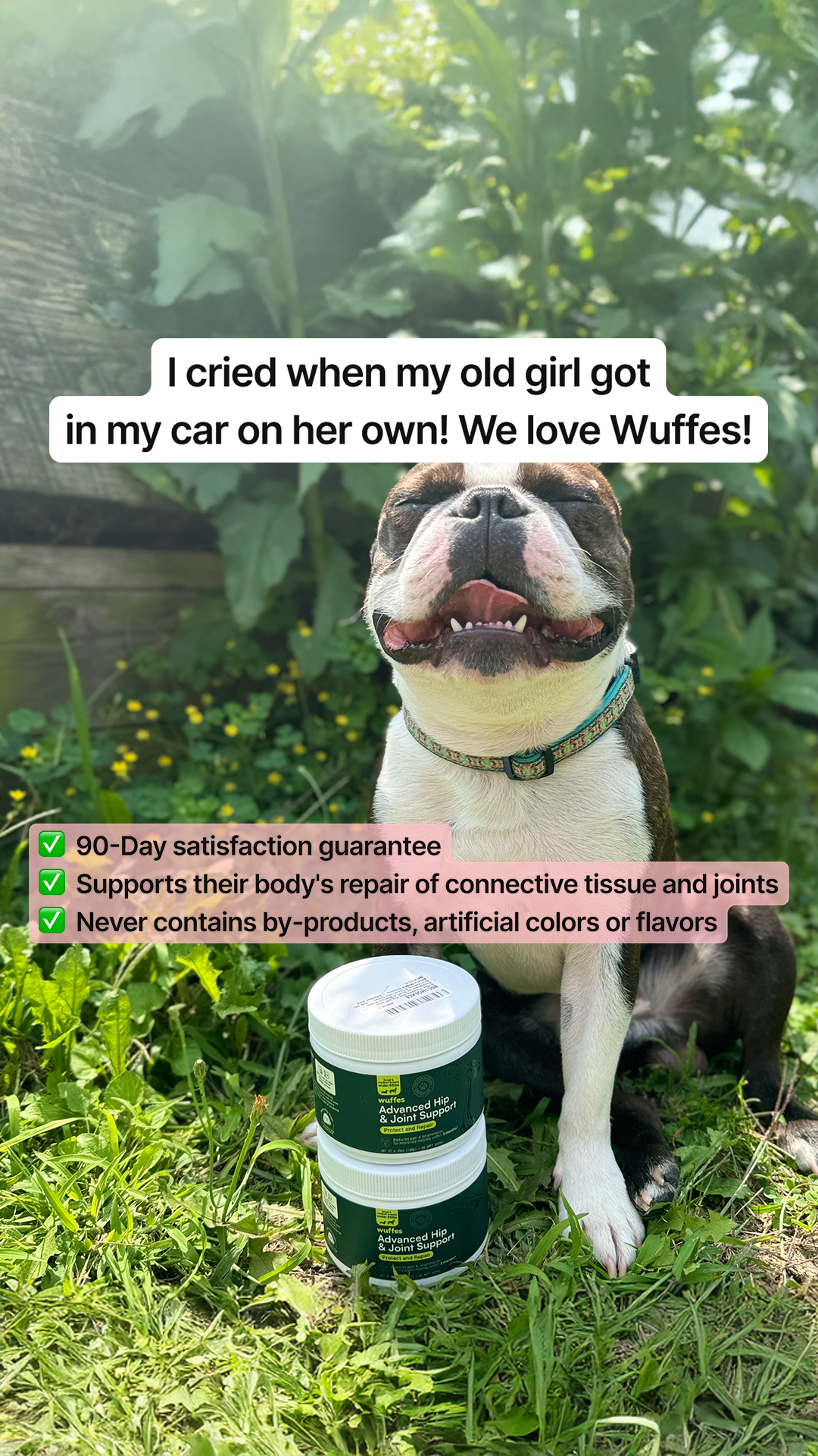 Wuffes Facebook ad