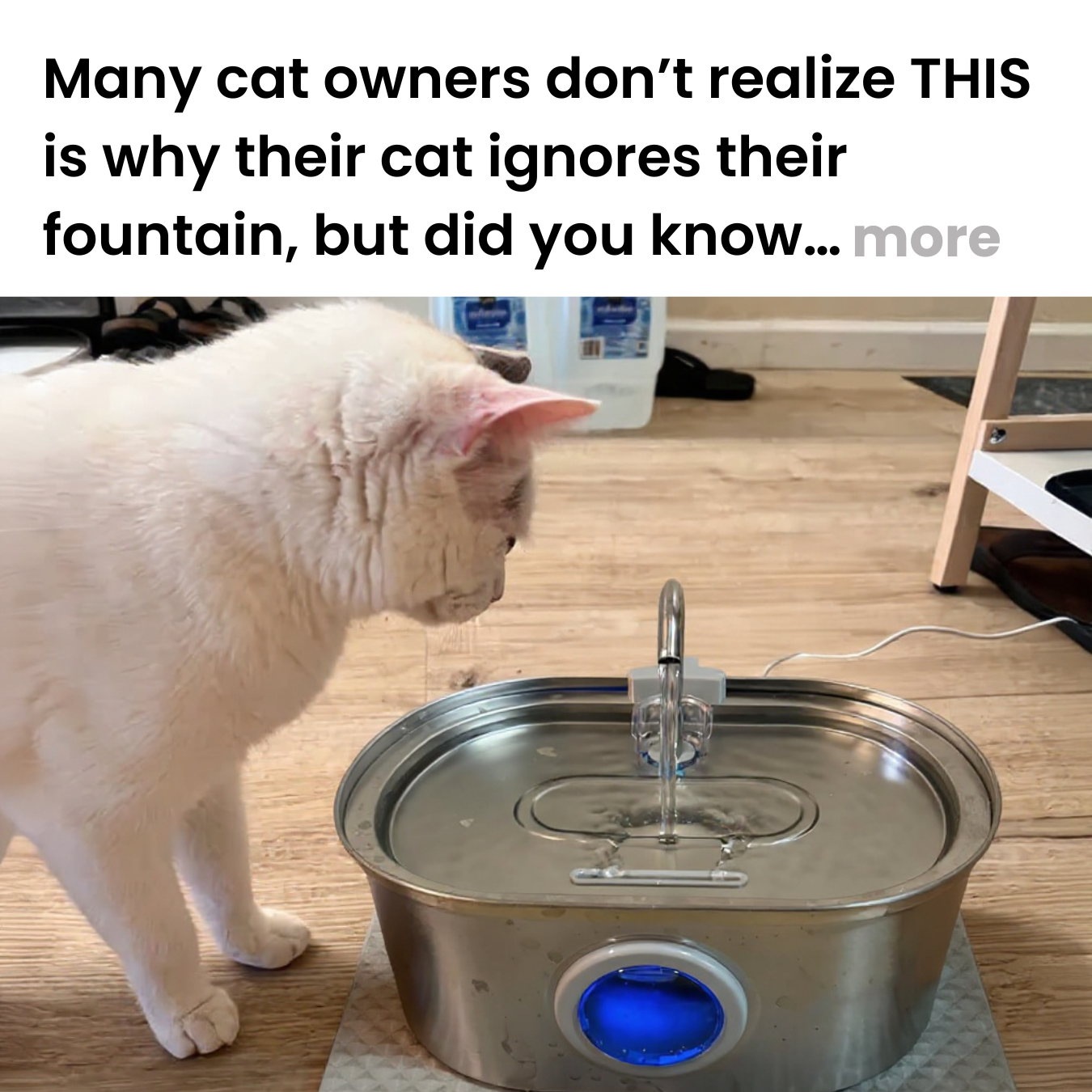 Cat Care Daily Facebook ad