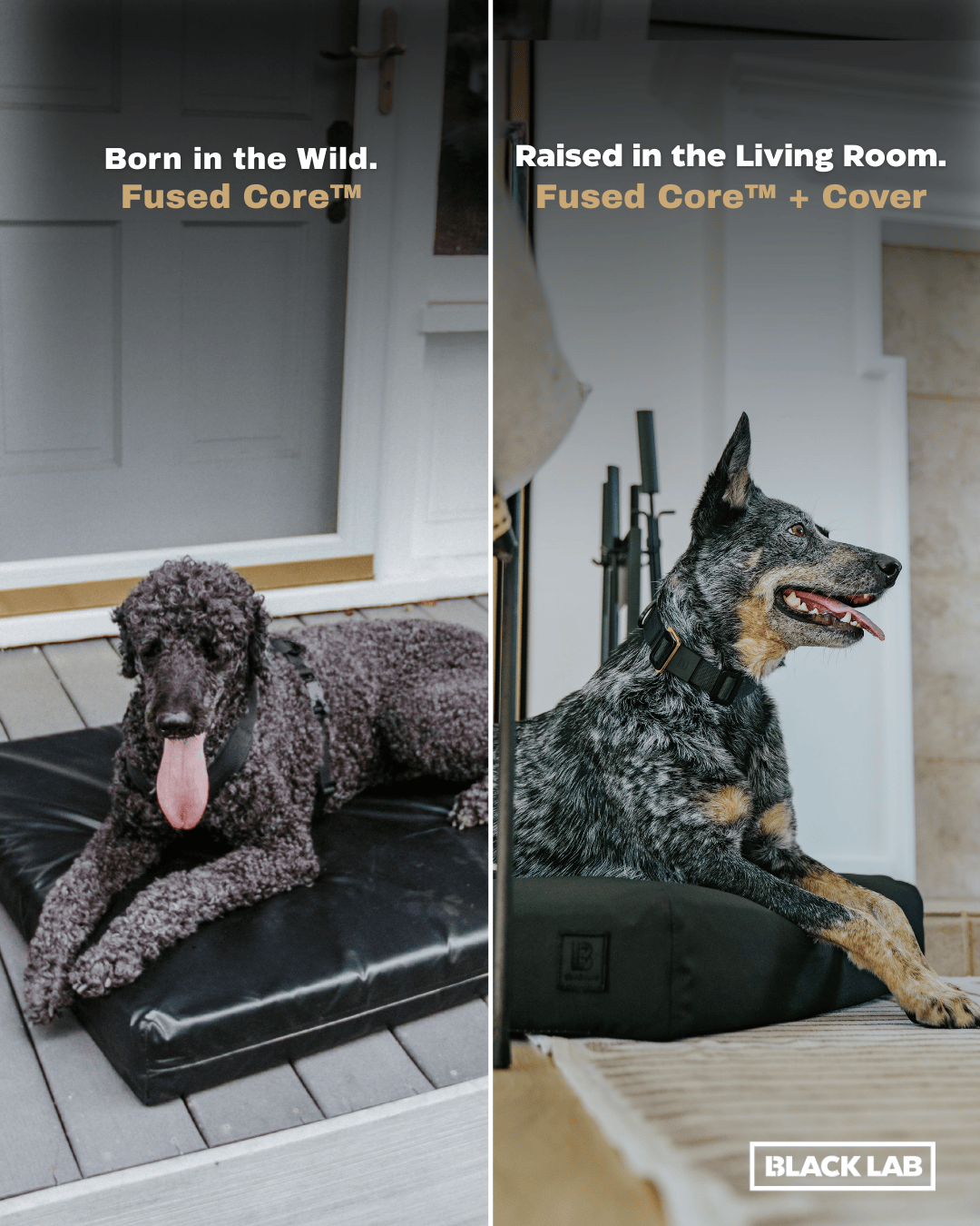 Black Lab Brands Facebook ad