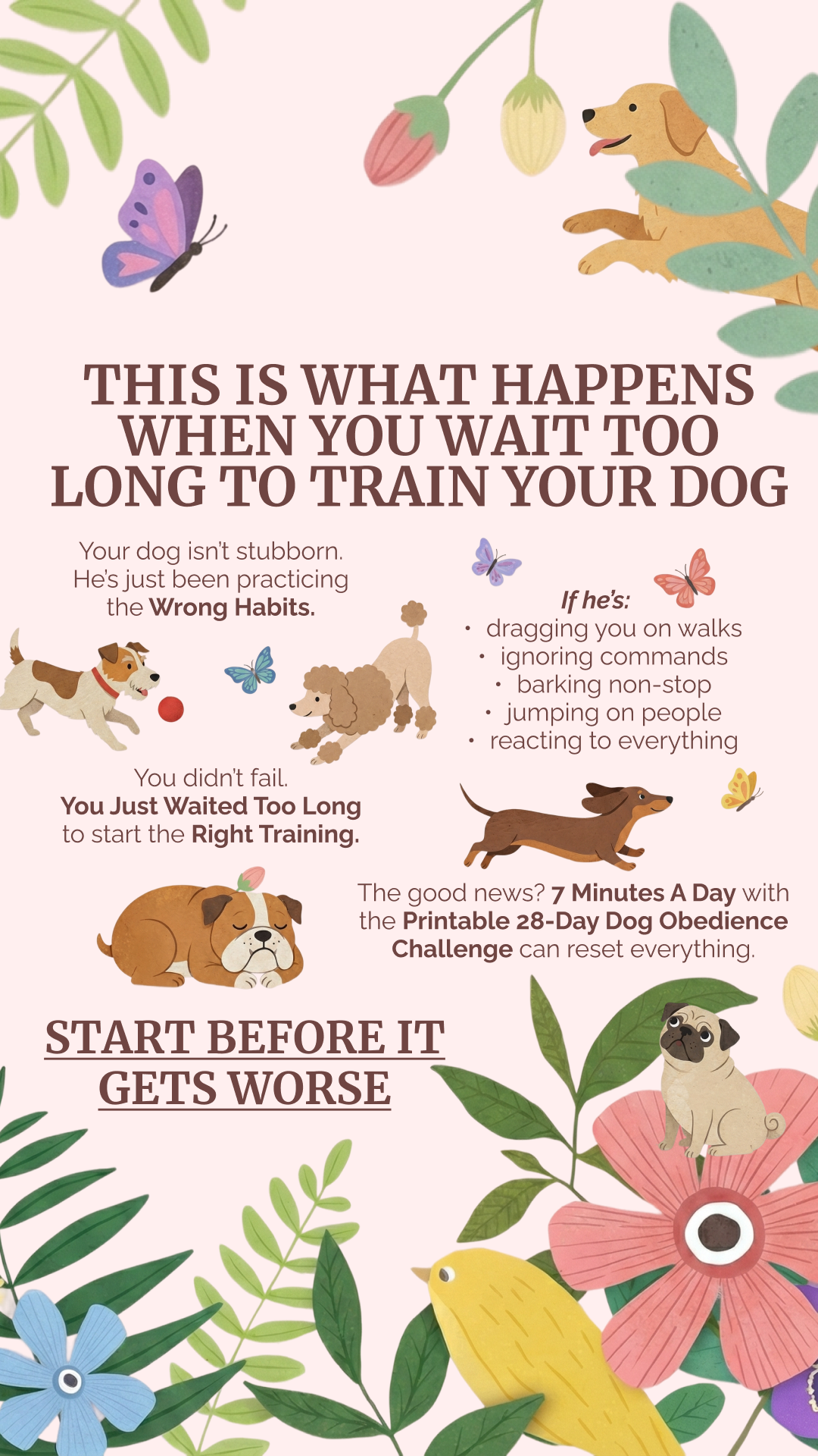 28 Day Dog Obedience Challenge Facebook ad