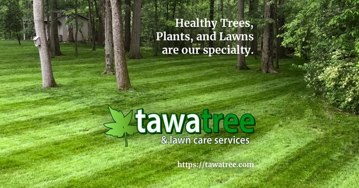 Tawa Tree & Lawn Services Facebook ad