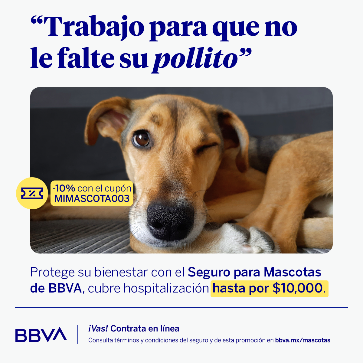 BBVA Seguros México Facebook ad