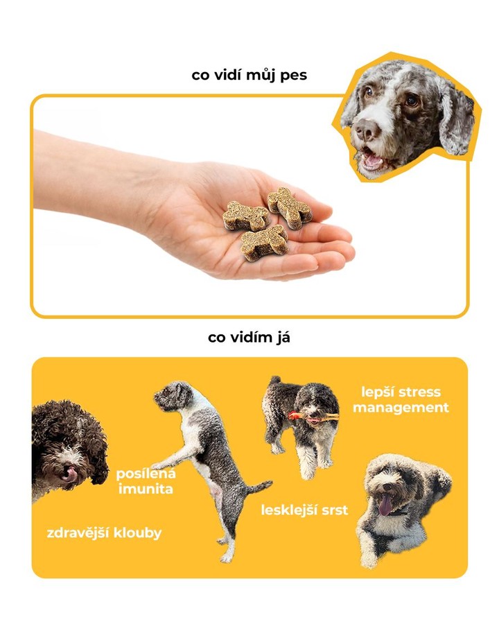 Brit Facebook ad