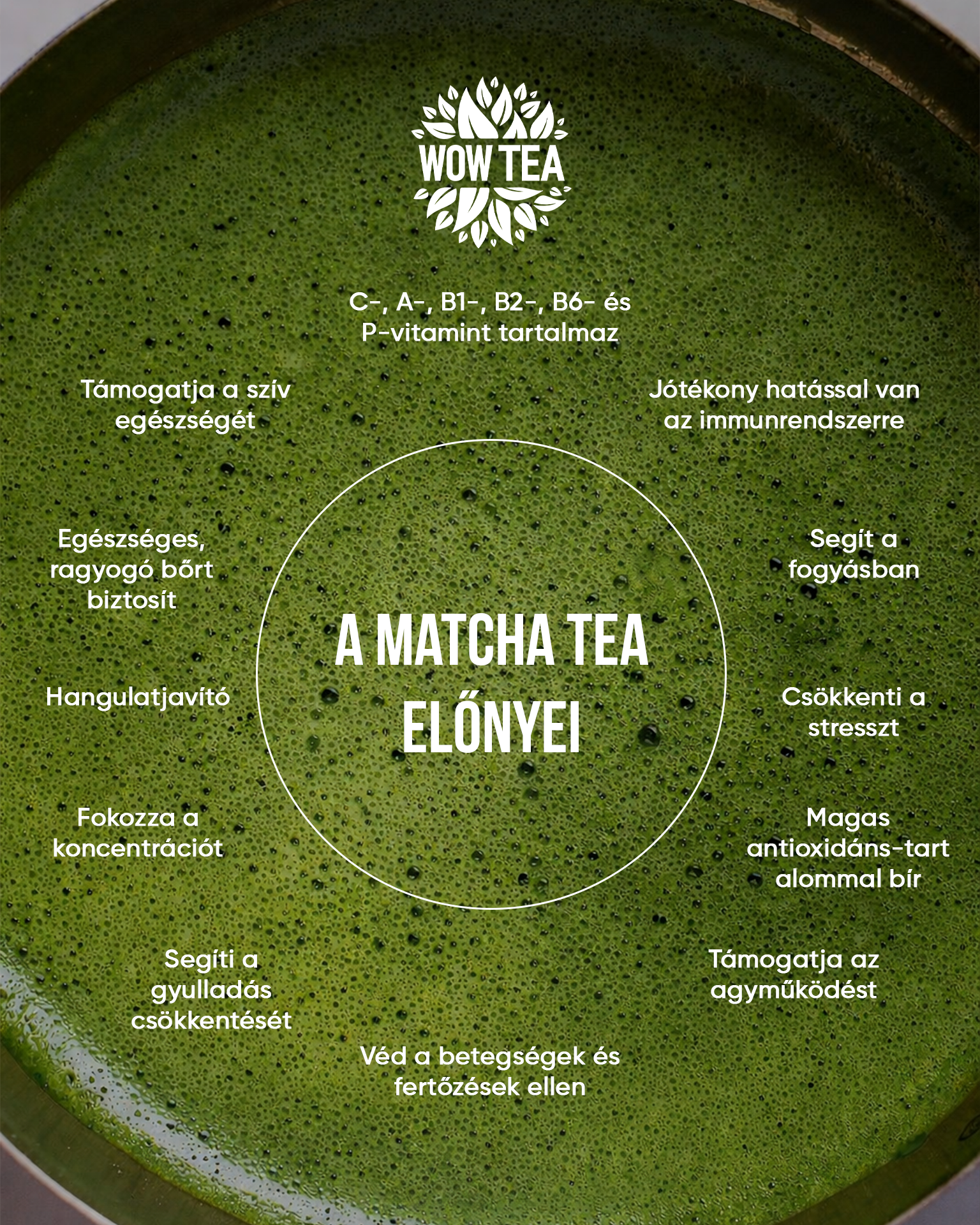 The Biofit Blog Facebook ad