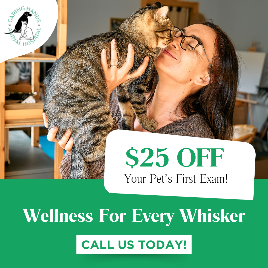 Caring Hands Animal Hospital: Suffolk Facebook ad