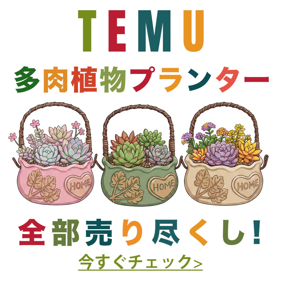 Temu Japan Facebook ad