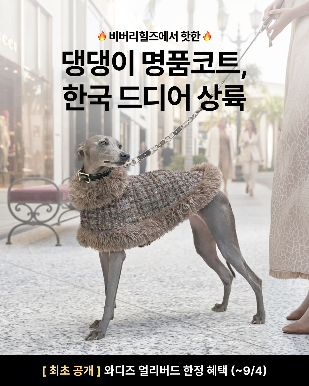 와디즈펀딩 Facebook ad: 최초 공개 | 하이엔드 도그 패션, Bondir