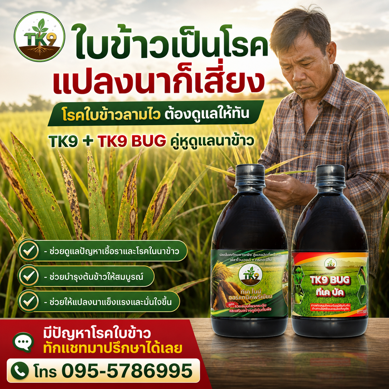 Tk9 นวัตกรรมสารสกัด เพิ่มผลผลิต เร่งโต เสริมสร้างภูมิคุ้มกันพืชในขวดเดียว Facebook ad: ใบเป็นจุด ขอบใบเสีย รีบดูแล โทร 095-5786995