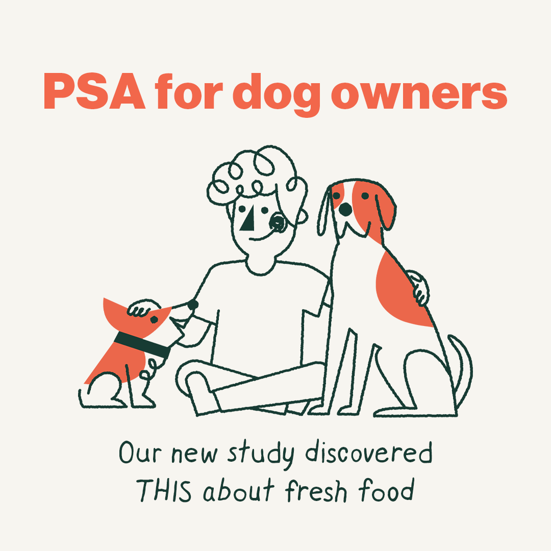The Farmer's Dog Facebook ad