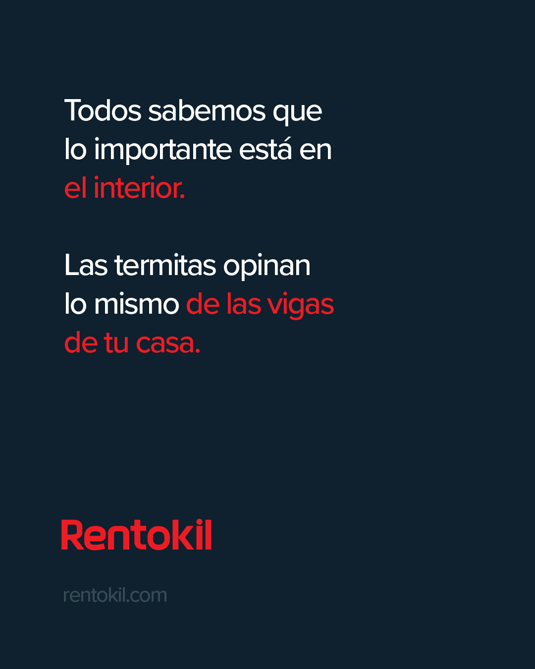 Rentokil España Facebook ad: Elimina las termitas antes de que destruyan tu casa