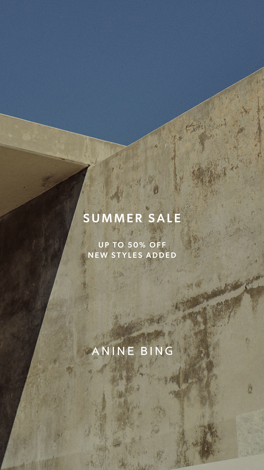 ANINE BING Facebook ad