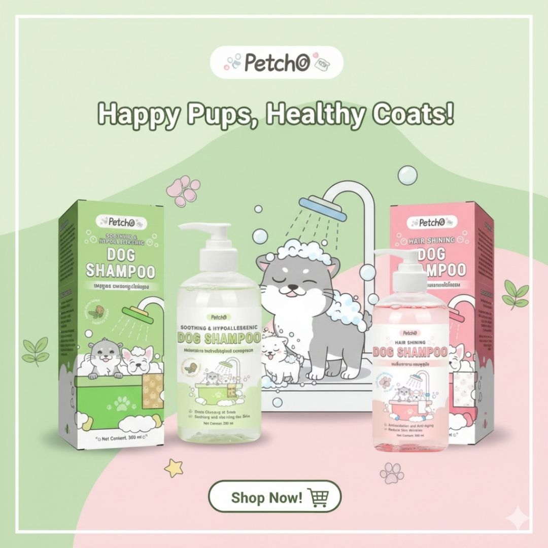 Chic Paws Facebook ad