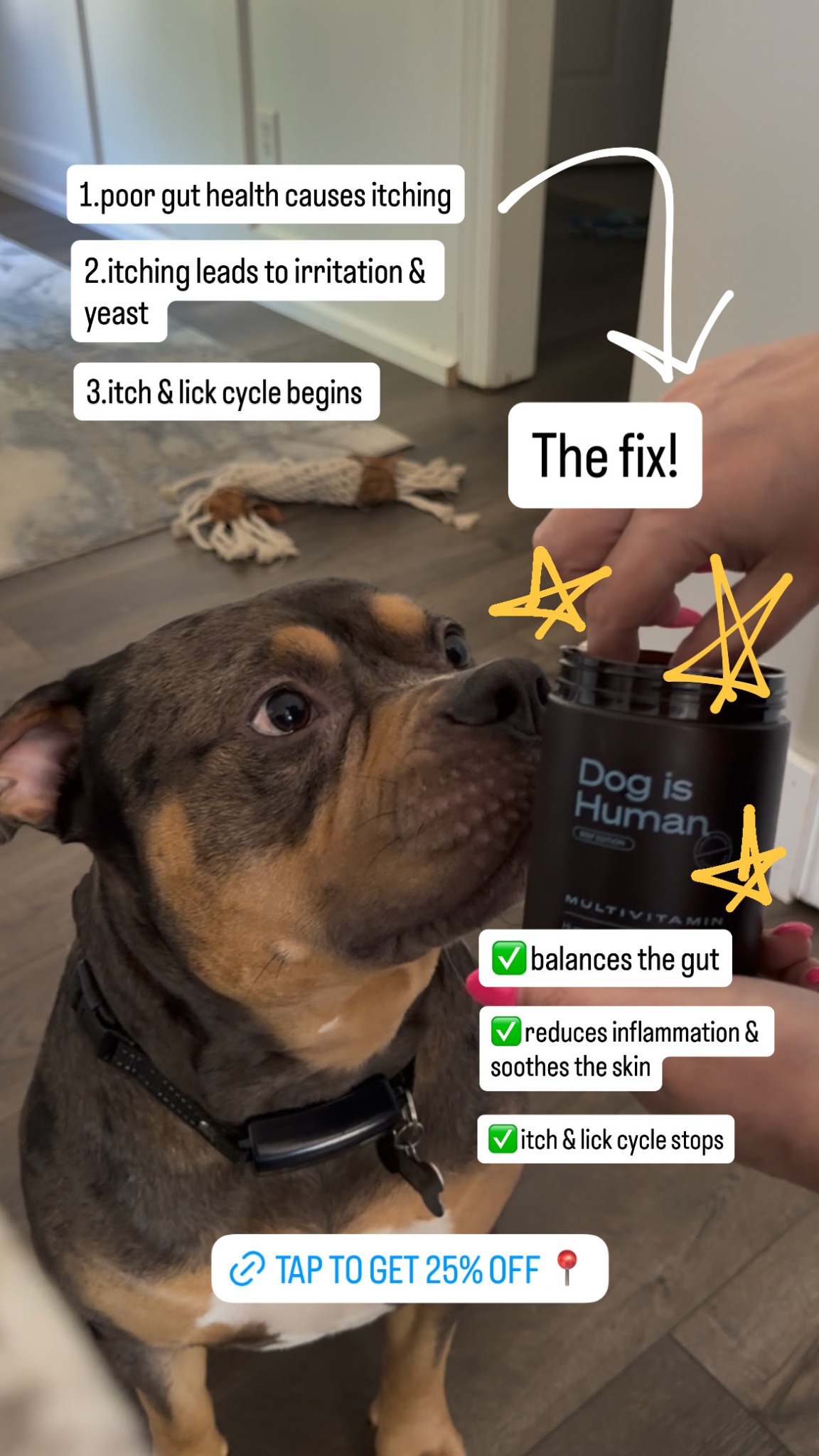 Dog is Human Facebook ad