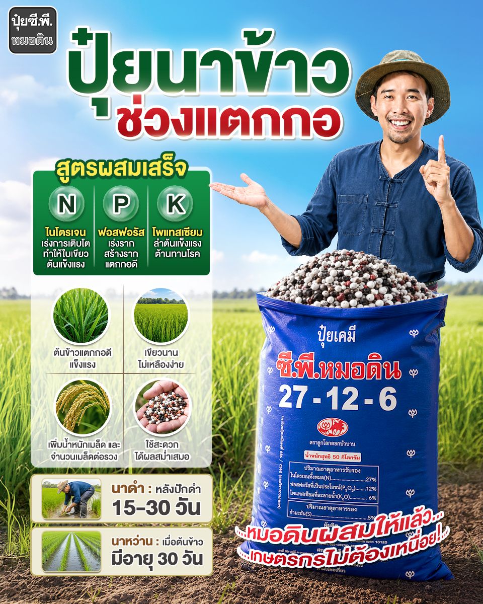 Robrai ปุ๋ยซี.พี.หมอดิน Facebook ad: ใส่ปุ๋ยนาข้าวช่วงแตกกอ เลือกยังไงให้ข้าวแตกกอดี ต้นแข็งแรง…