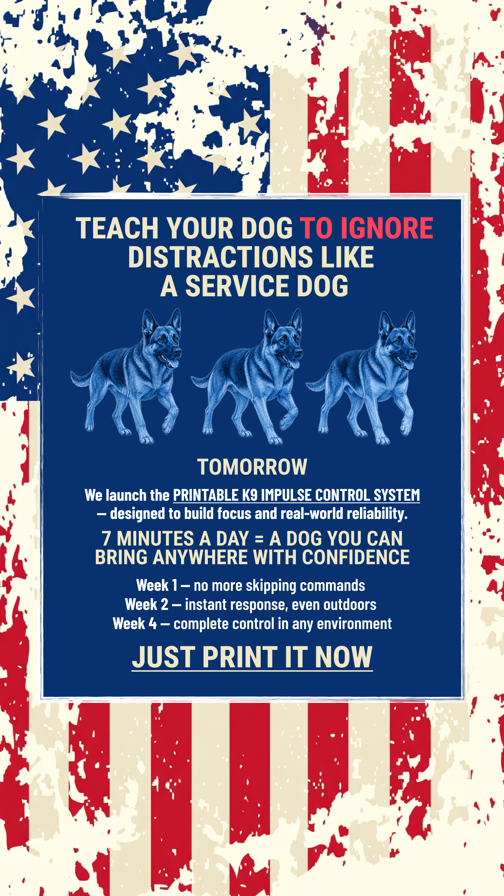 Dog Training Program Facebook ad: Take the lead. Start now