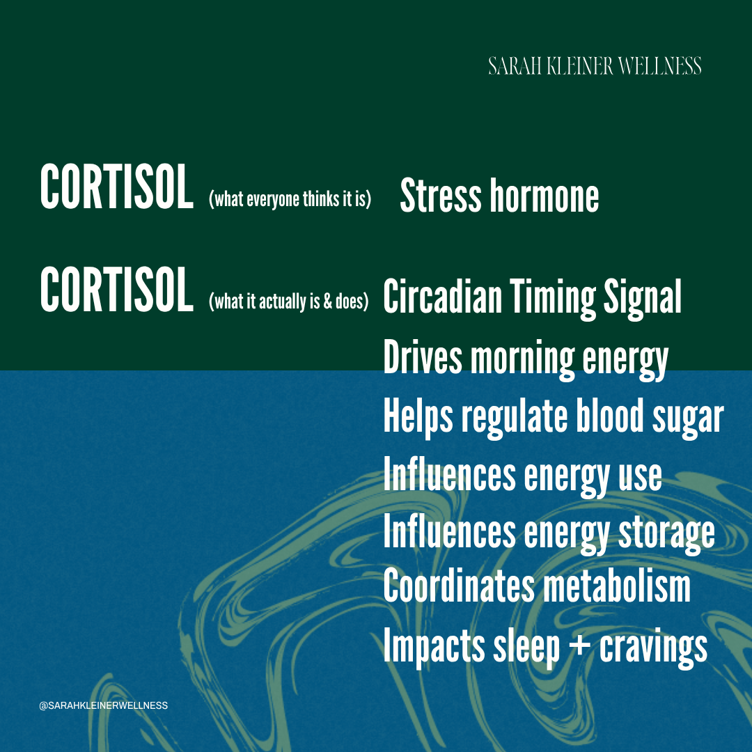 Sarah Kleiner Wellness Facebook ad: Cortisol is one of your body’s primary circadian…