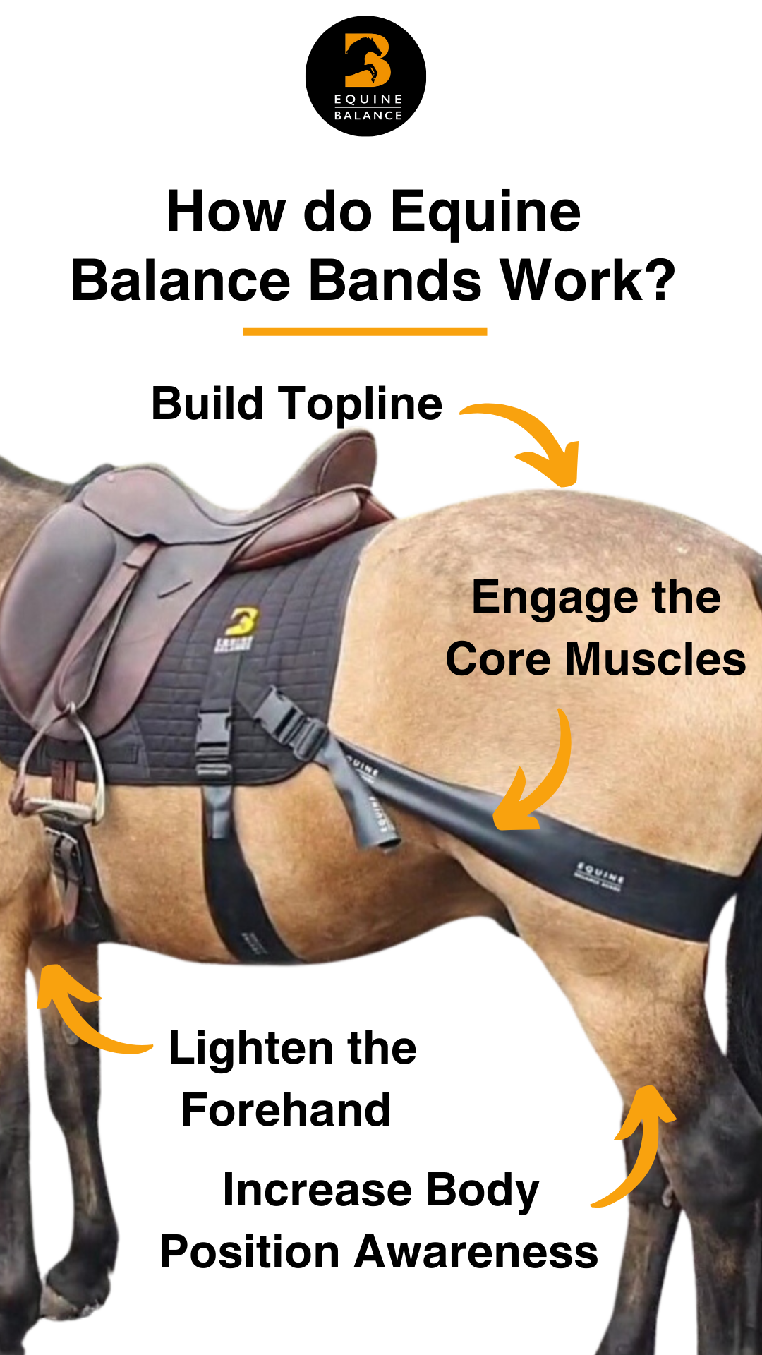 Equine Balance Facebook ad from Jun 20, 2025