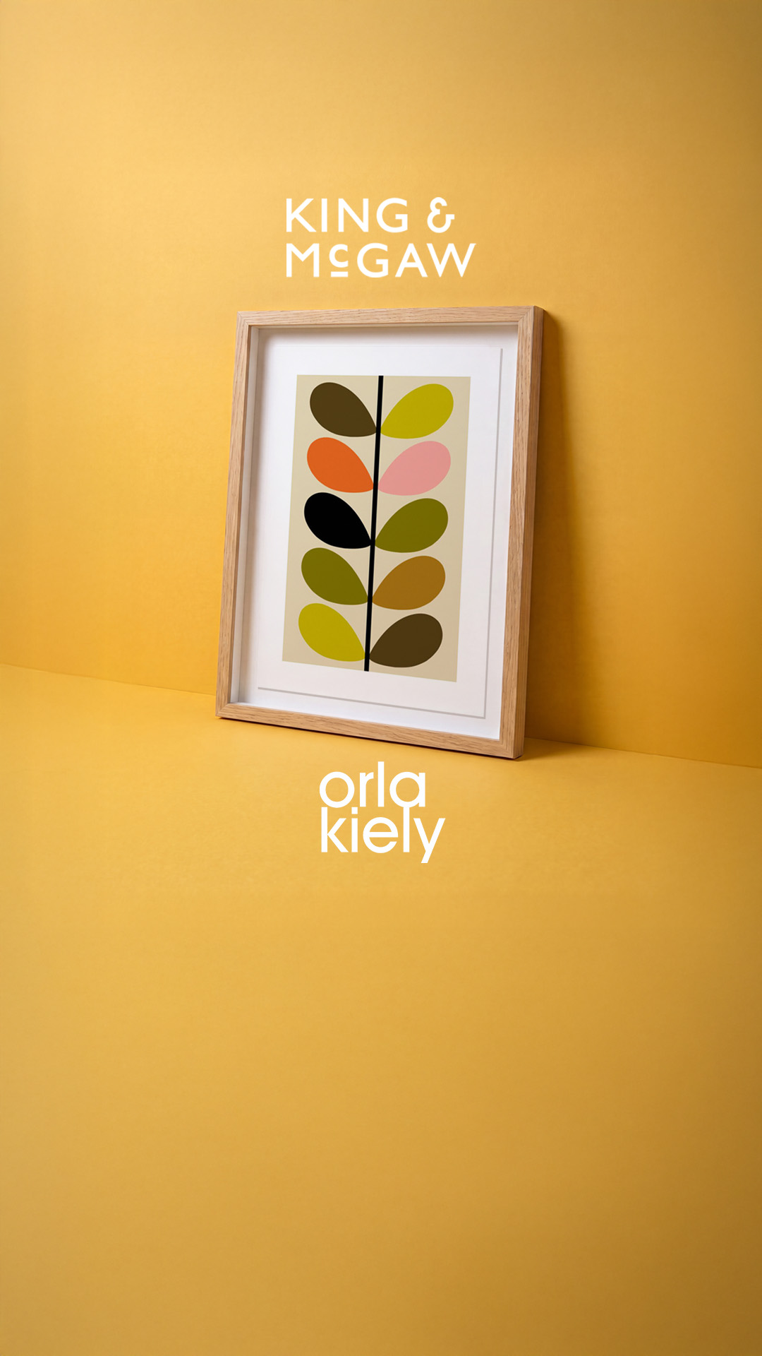King and McGaw Facebook ad