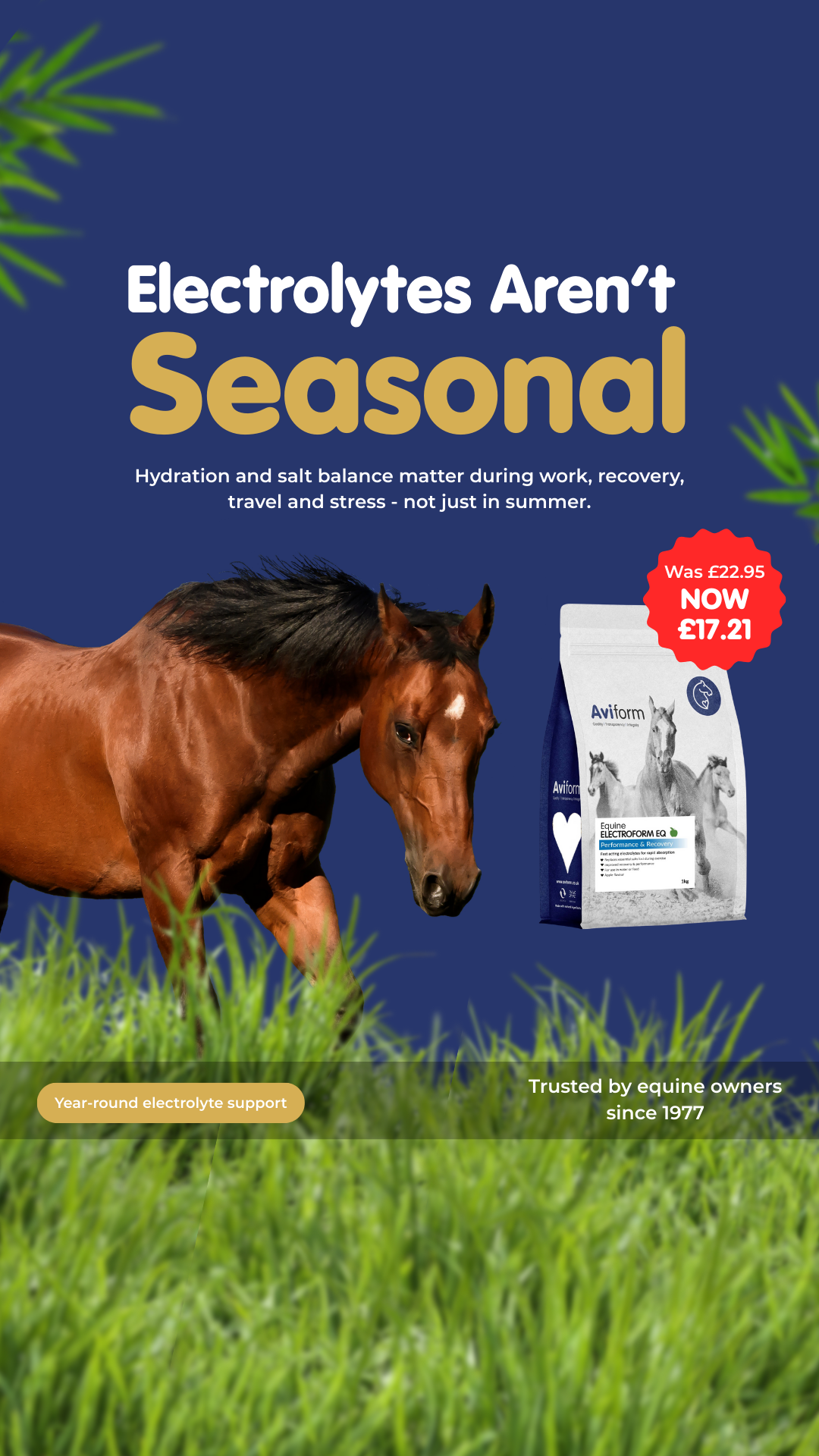 Aviform Nutrition UK - Horse & Dog Facebook ad