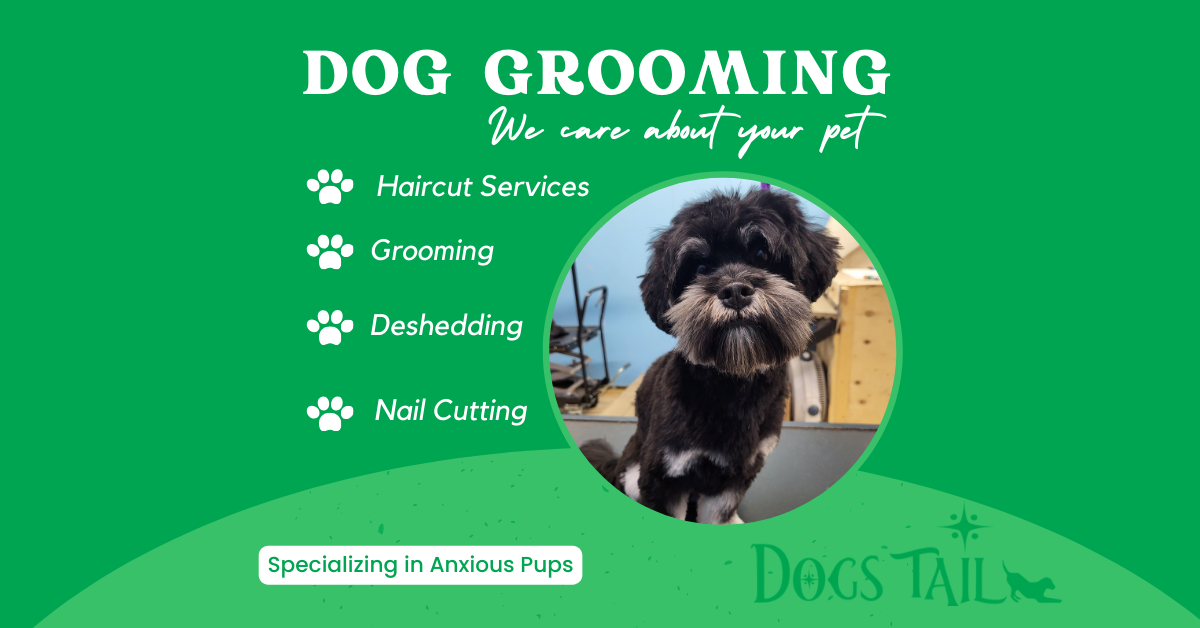 Dogs Tail Inc. Facebook ad