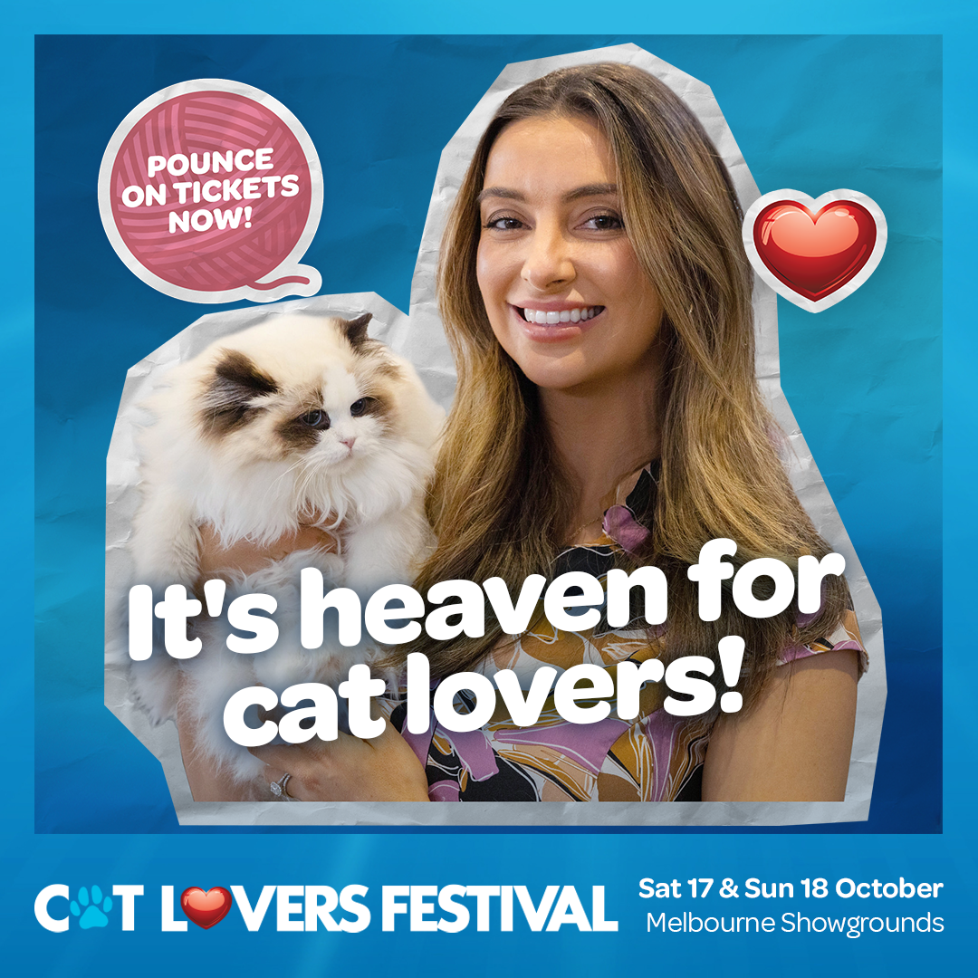 Cat Lovers Festival Facebook ad: The Cat Lovers Festival Is Back