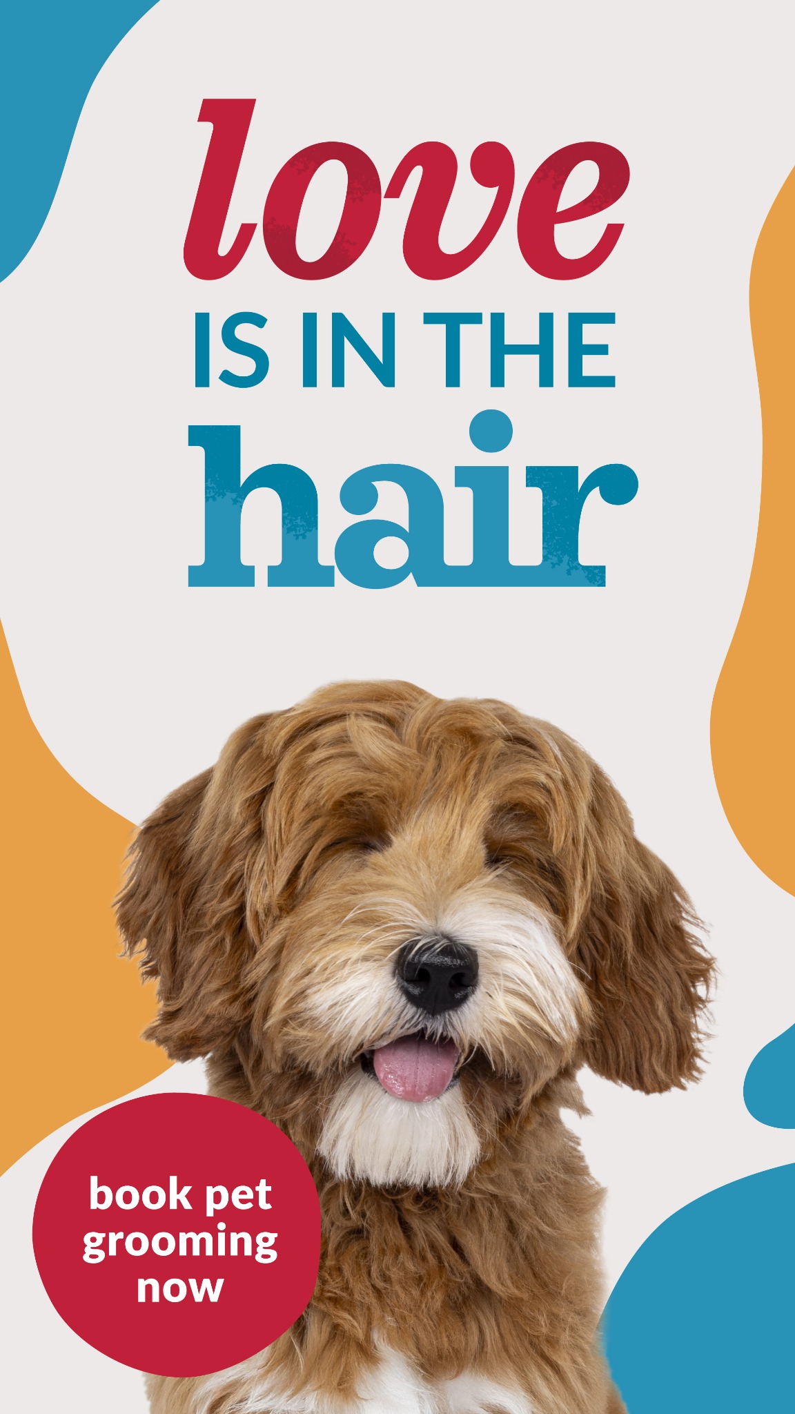 Chow Hound Pet Supplies Facebook ad