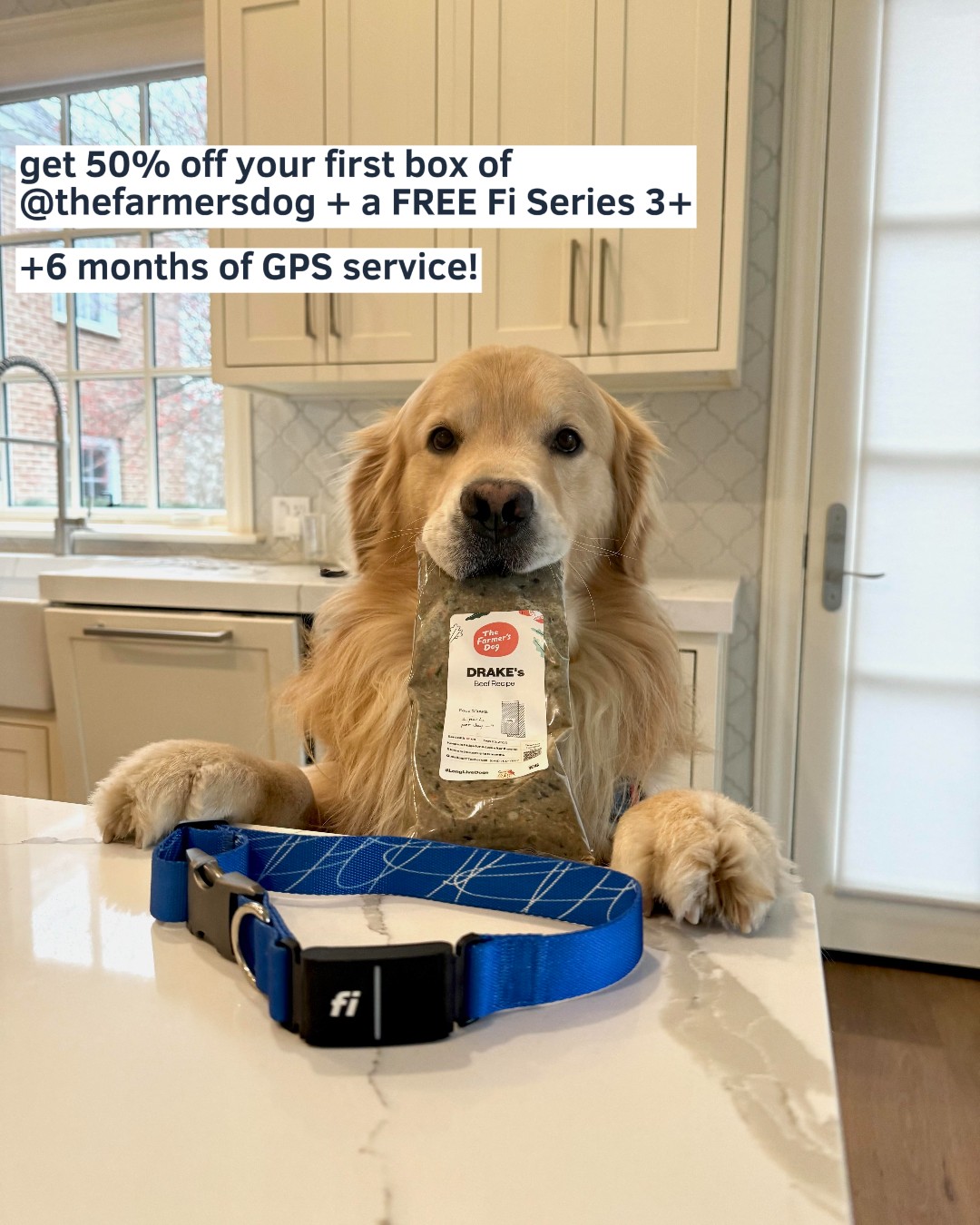 Drake the Pupstar Facebook ad