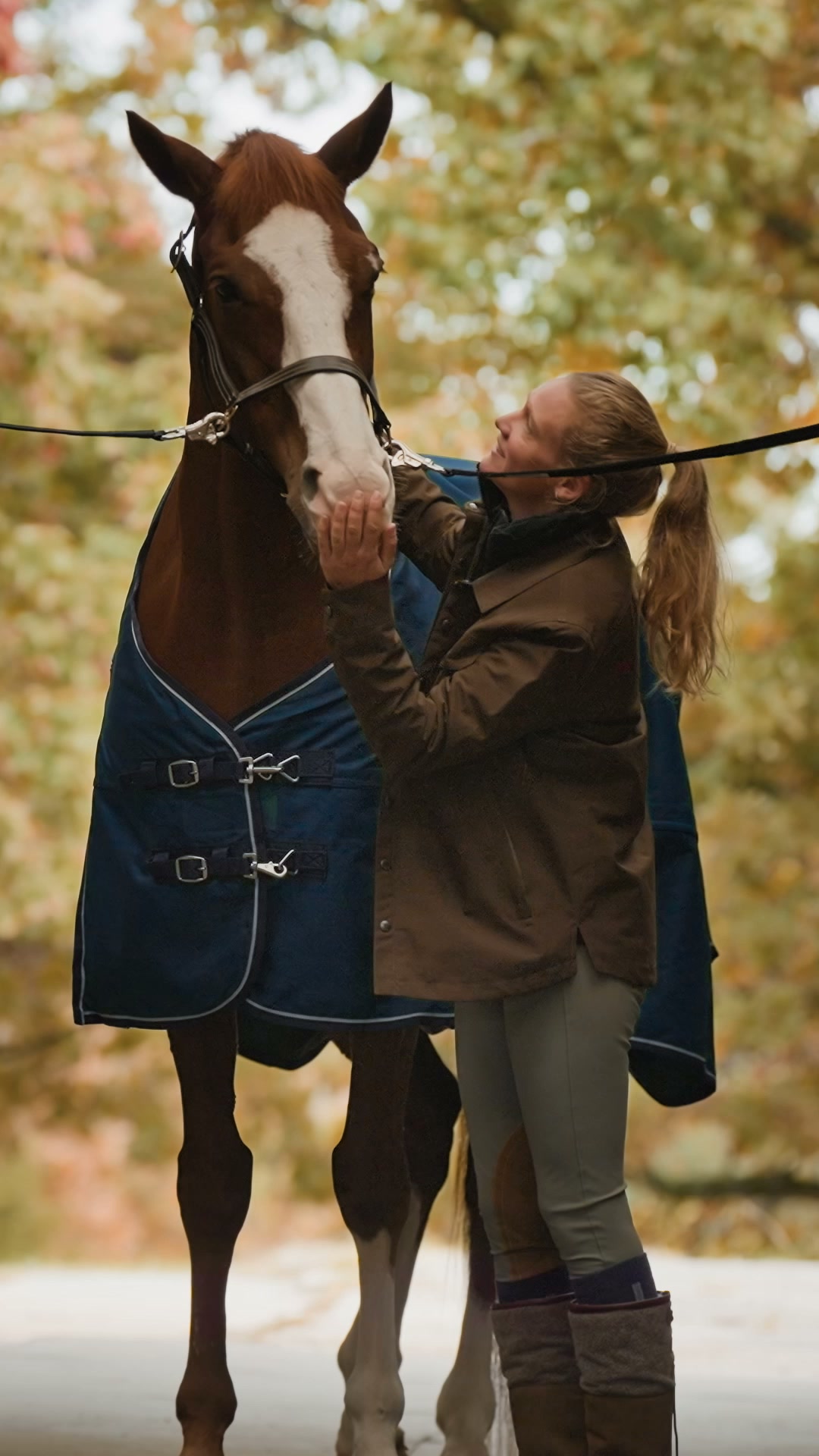 Chewy Facebook ad: Fall horse essentials