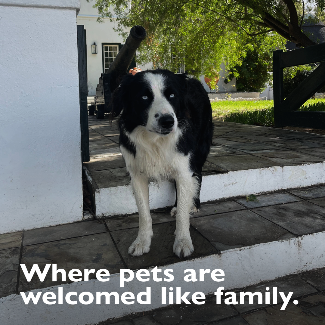 Karoo 1 Hotel & Village Facebook ad: Bring them with!
