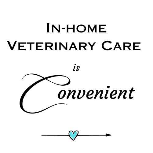 Straight Arrow Veterinary Care - Dr. Kristen Ficzycz, DVM Facebook ad