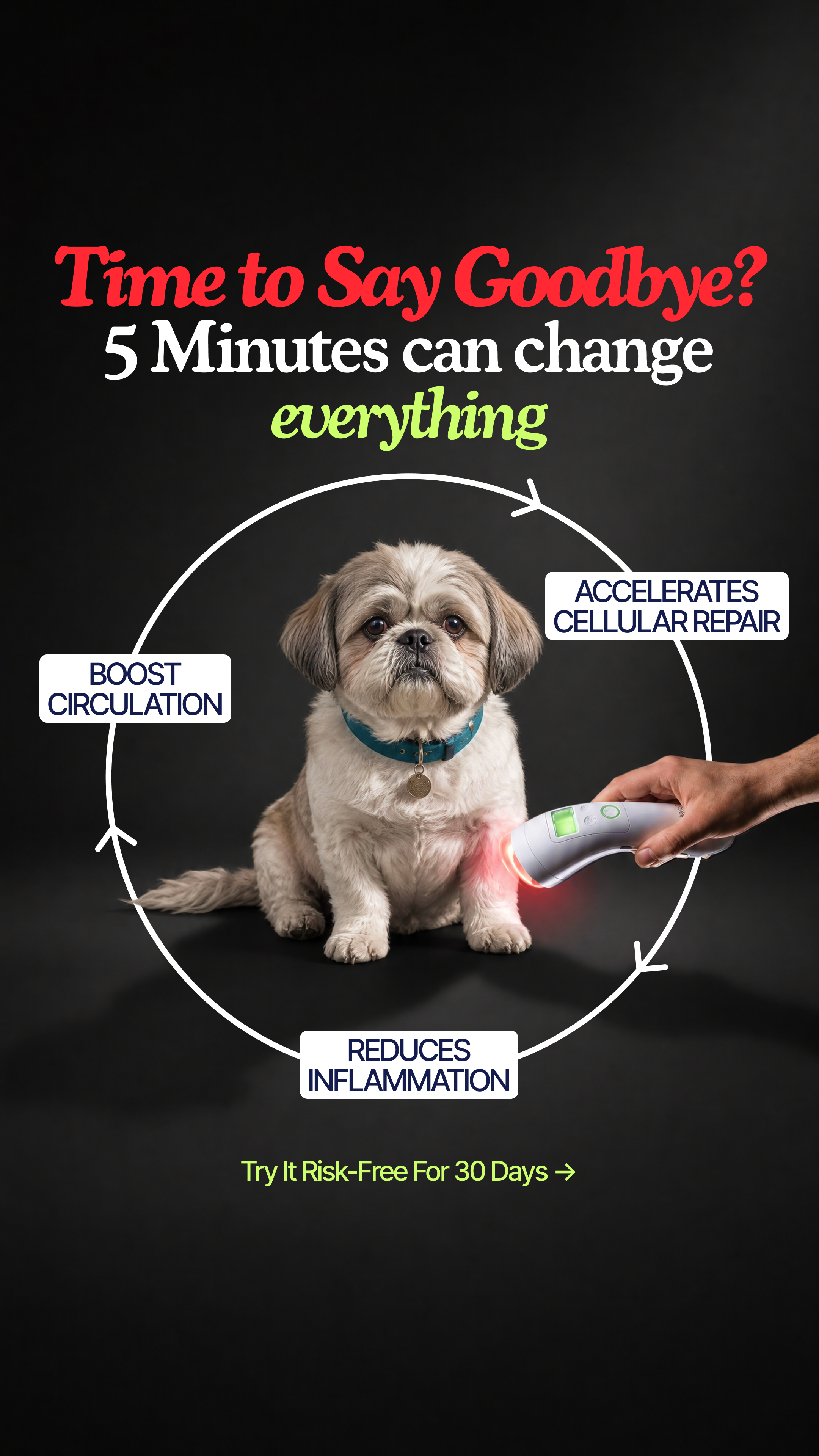 Helio Pet Facebook ad