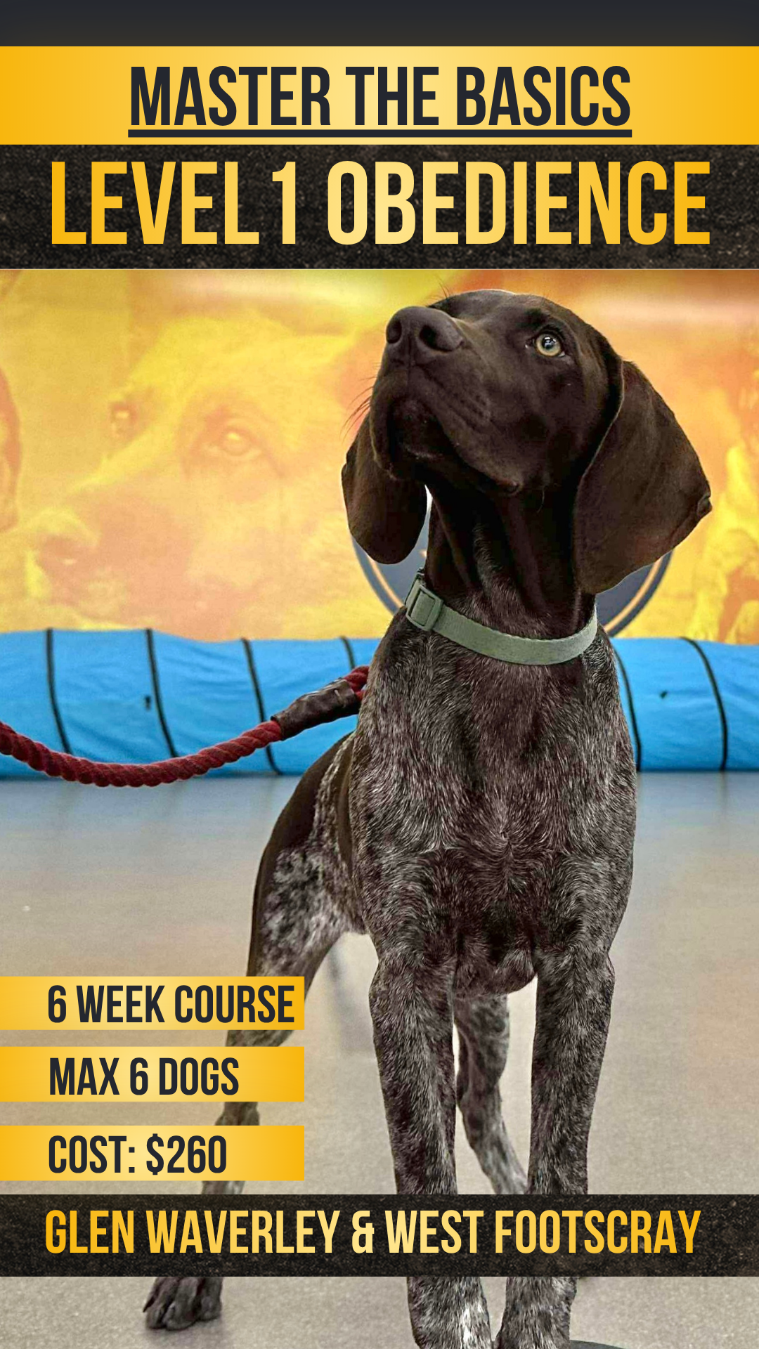 Pro Dog Training Facebook ad
