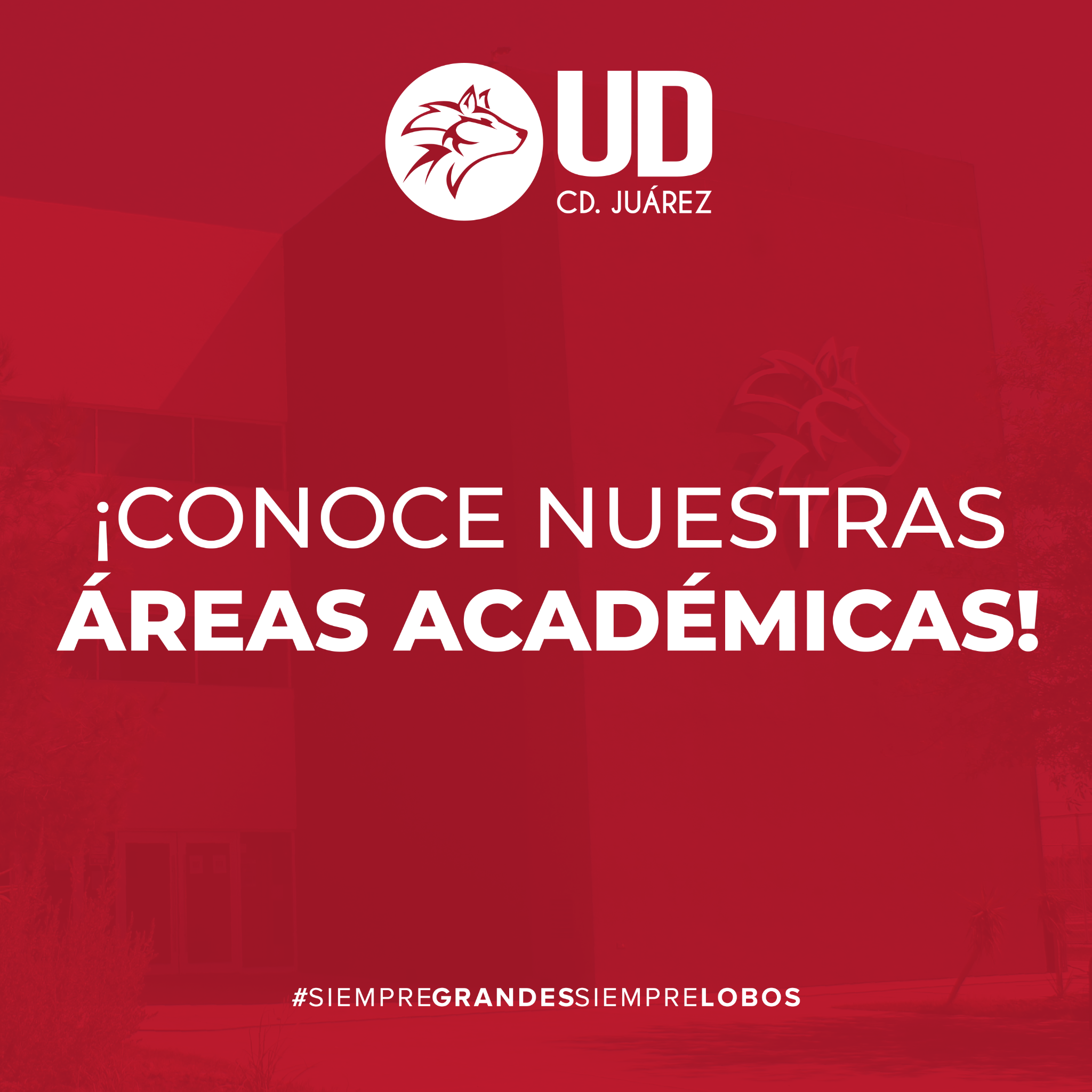 Universidad De Durango Campus Juárez Facebook ad from Jul 17, 2026