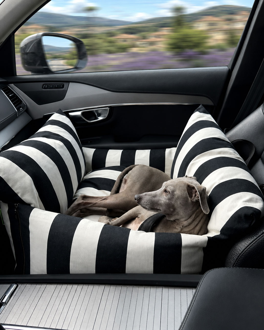 4legs.de Facebook ad