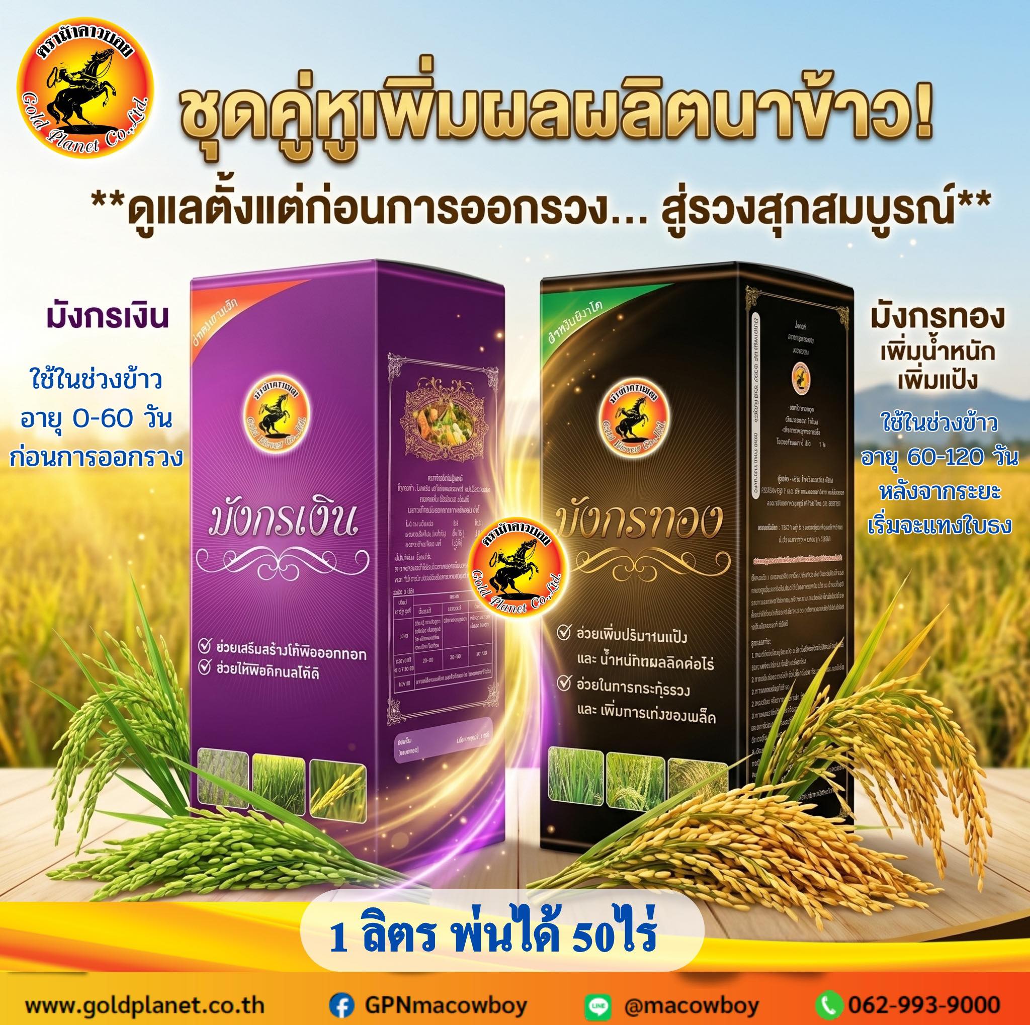 Gold Planet - ตราม้าคาวบอย Facebook ad