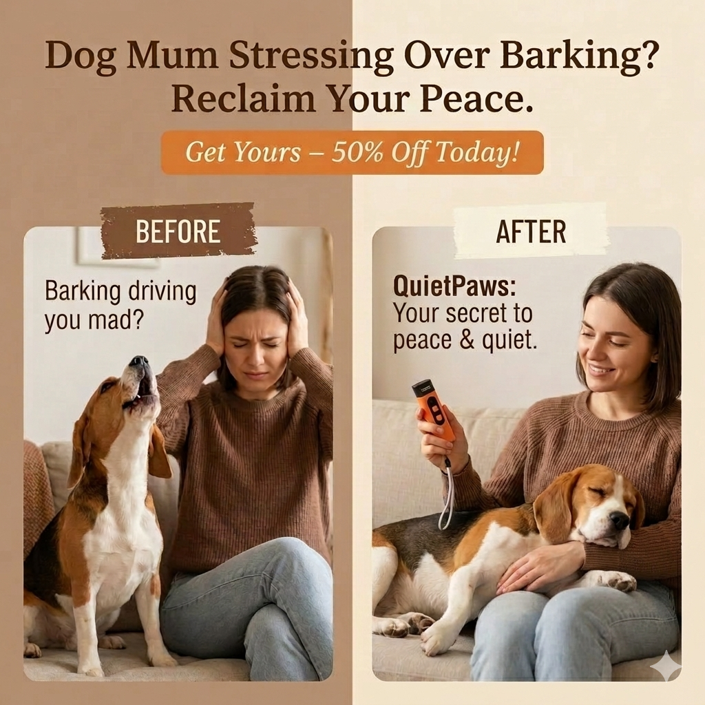 Hunters Doggy Daycare Facebook ad