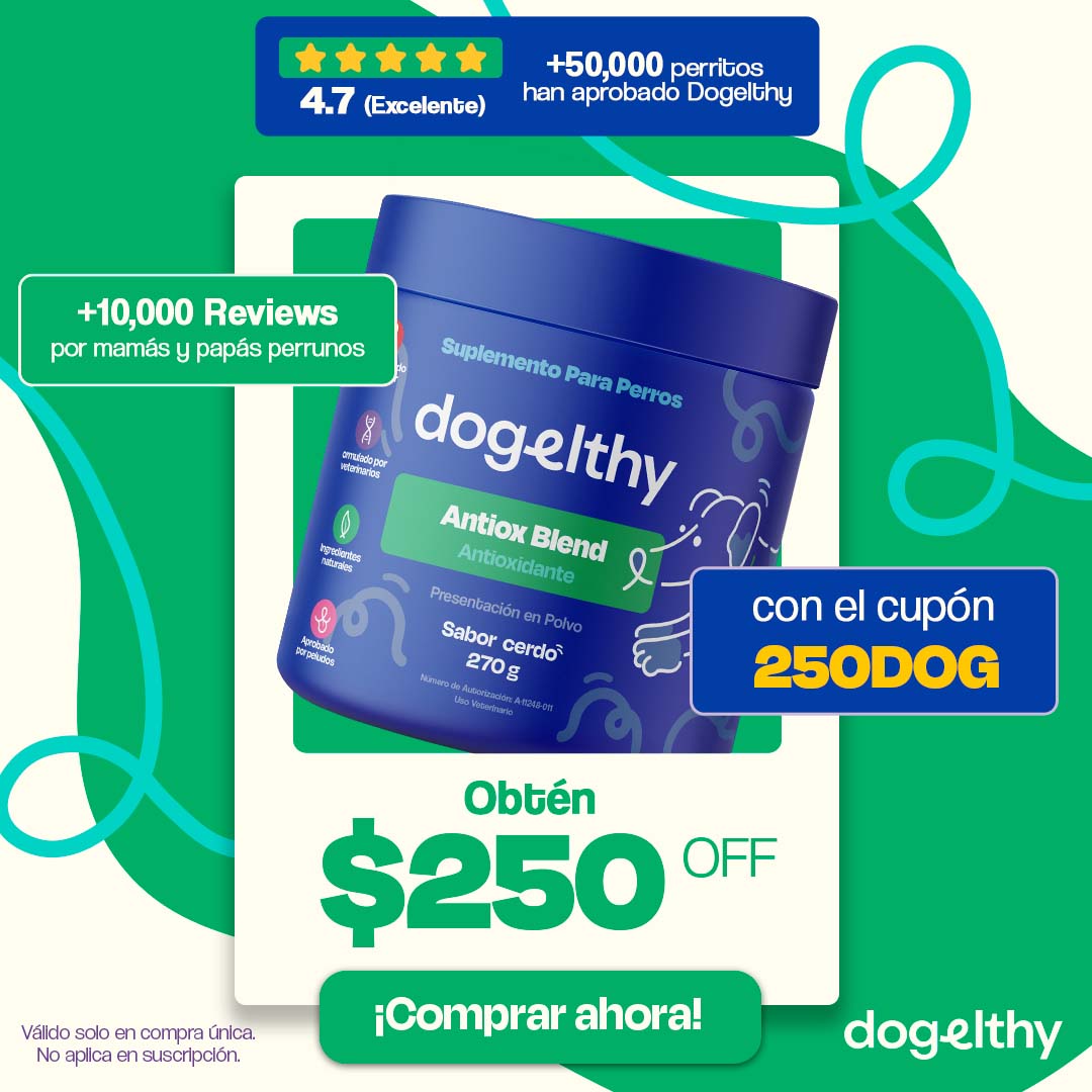 Dogelthy Facebook ad
